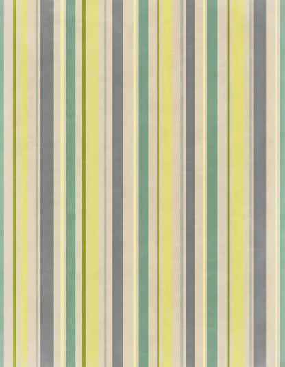 Striped Contempo 6X8 Fleece ( 72 X 96 Inch ) Backdrop