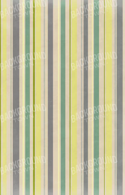 Striped Contempo 8X12 Ultracloth ( 96 X 144 Inch ) Backdrop