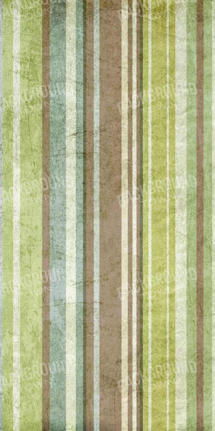 Striped Pistachio 10X20 Ultracloth ( 120 X 240 Inch ) Backdrop