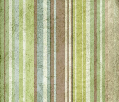 Striped Pistachio 12X10 Ultracloth ( 144 X 120 Inch ) Backdrop