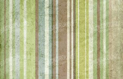 Striped Pistachio 12X8 Ultracloth ( 144 X 96 Inch ) Backdrop