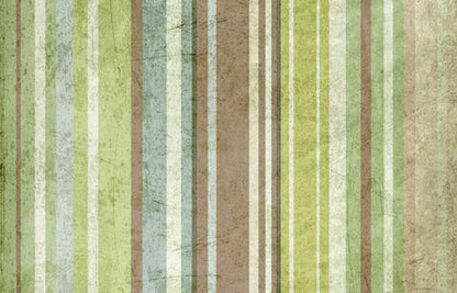 Striped Pistachio 12X8 Ultracloth ( 144 X 96 Inch ) Backdrop