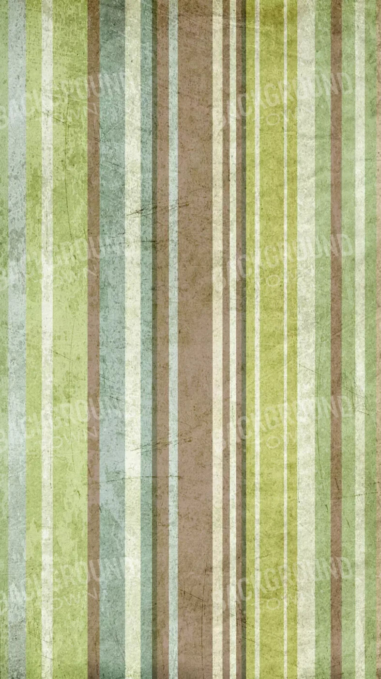 Striped Pistachio 8X14 Ultracloth ( 96 X 168 Inch ) Backdrop