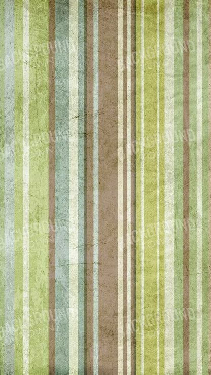 Striped Pistachio 8X14 Ultracloth ( 96 X 168 Inch ) Backdrop