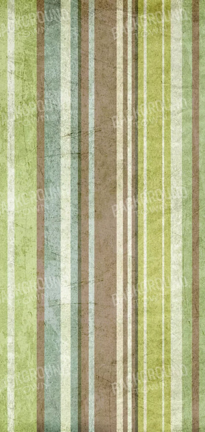 Striped Pistachio 8X16 Ultracloth ( 96 X 192 Inch ) Backdrop