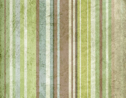 Striped Pistachio 8X6 Fleece ( 96 X 72 Inch ) Backdrop