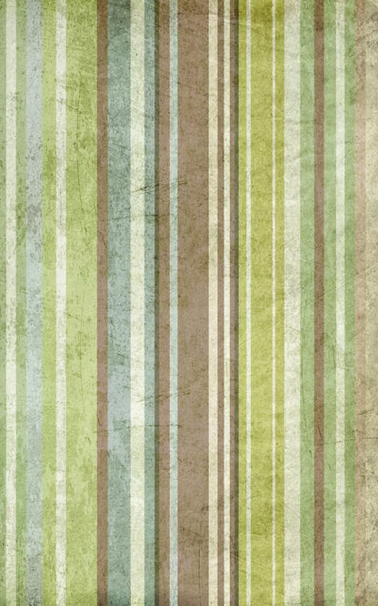 Striped Pistachio 9X14 Ultracloth ( 108 X 168 Inch ) Backdrop