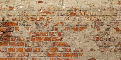 Studio 20’X10’ Ultracloth (240 X 120 Inch) Backdrop