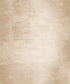 Beige Classic and Masters Backdrop for Photography