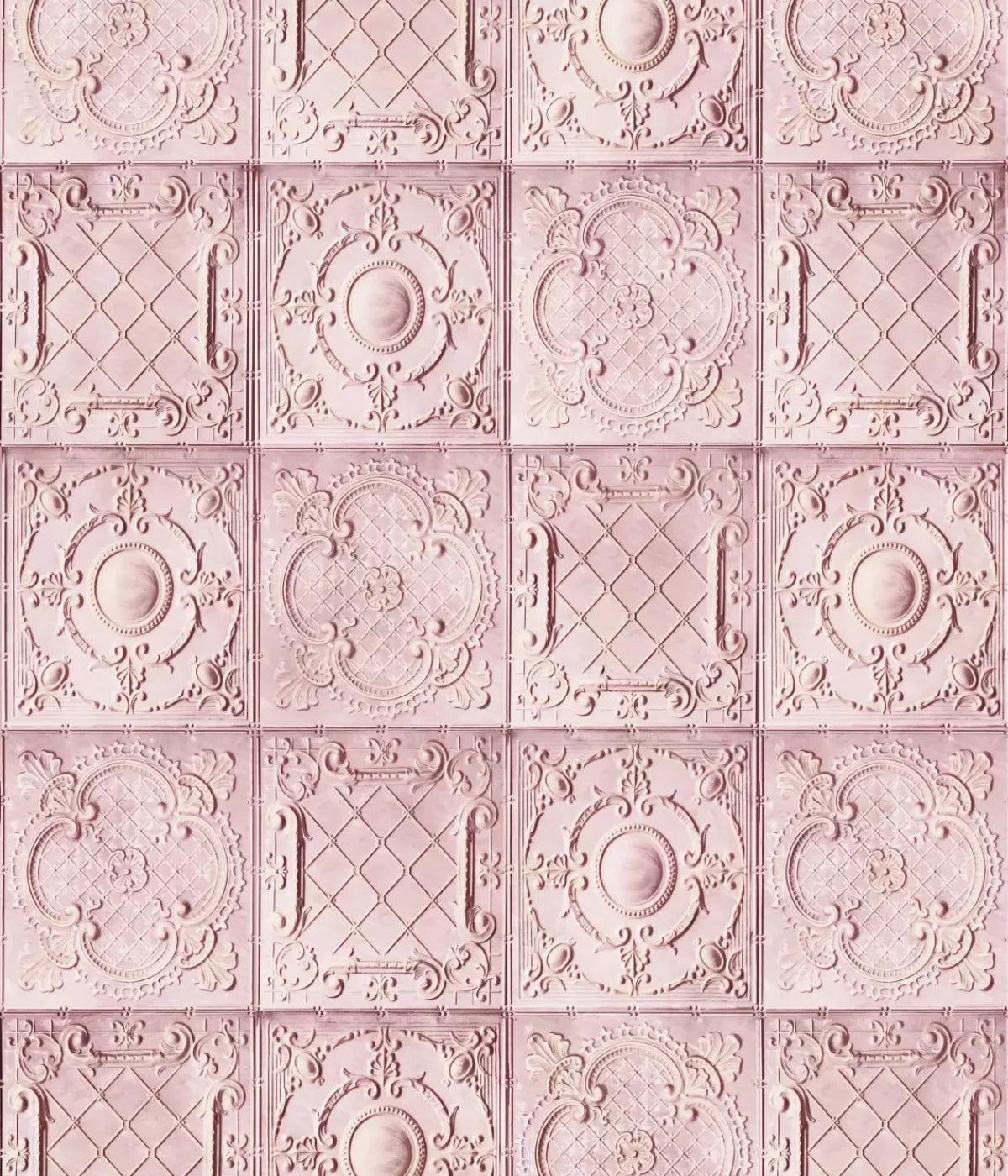 Sugar And Spice 10X12 Ultracloth ( 120 X 144 Inch ) Backdrop