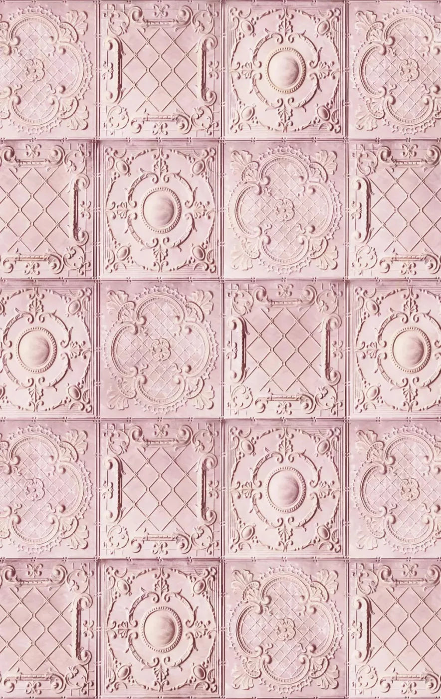 Sugar And Spice 10X16 Ultracloth ( 120 X 192 Inch ) Backdrop