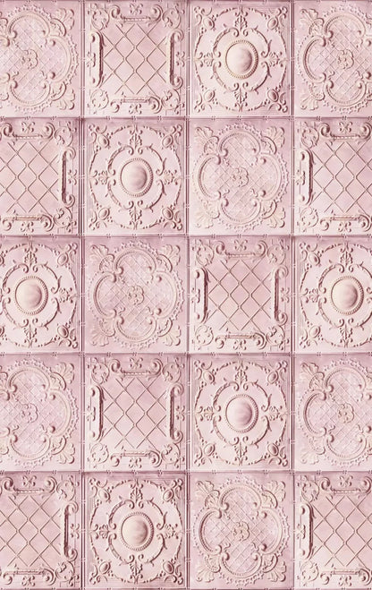 Sugar And Spice 10X16 Ultracloth ( 120 X 192 Inch ) Backdrop