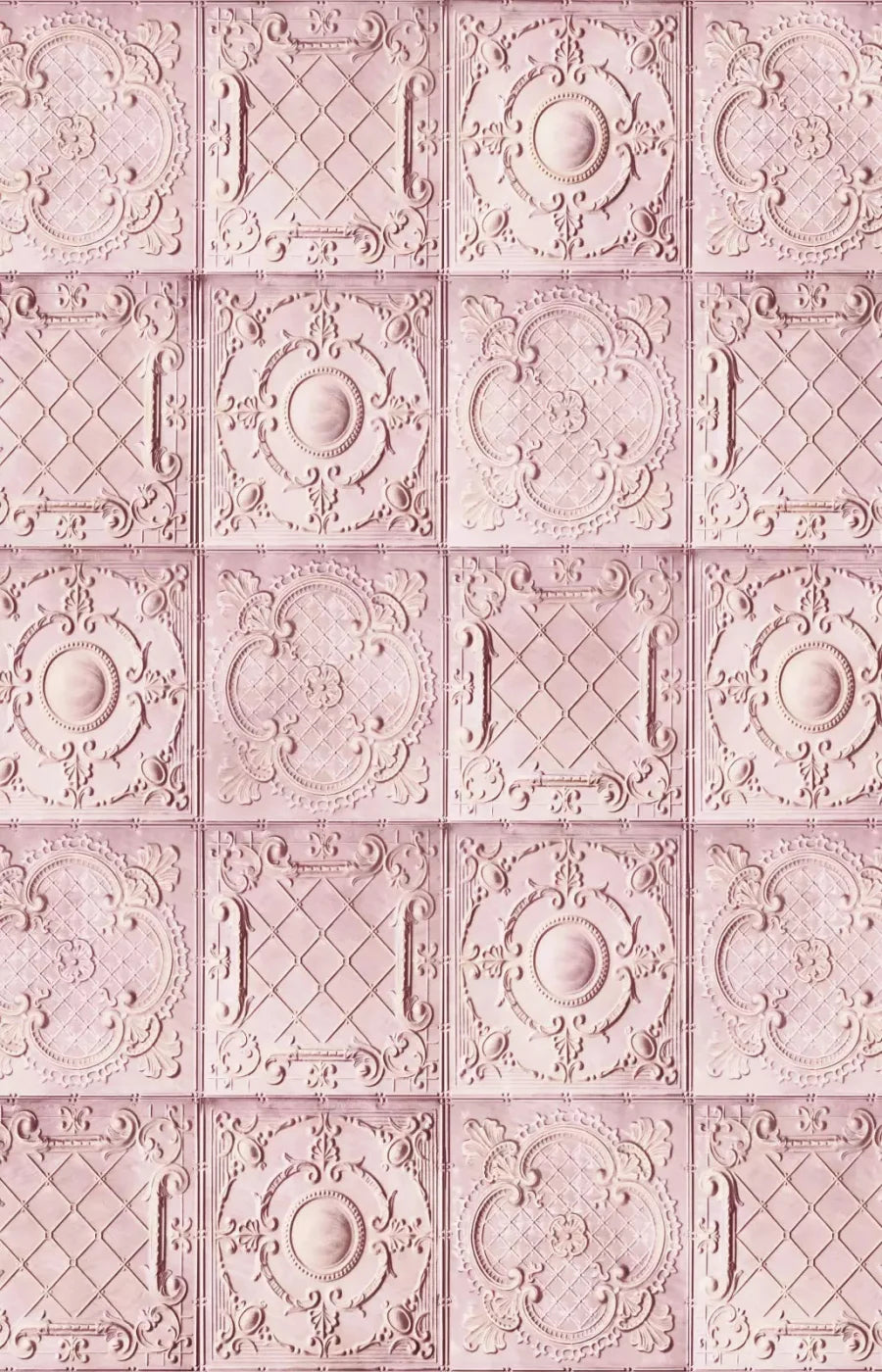 Sugar And Spice 8X12 Ultracloth ( 96 X 144 Inch ) Backdrop