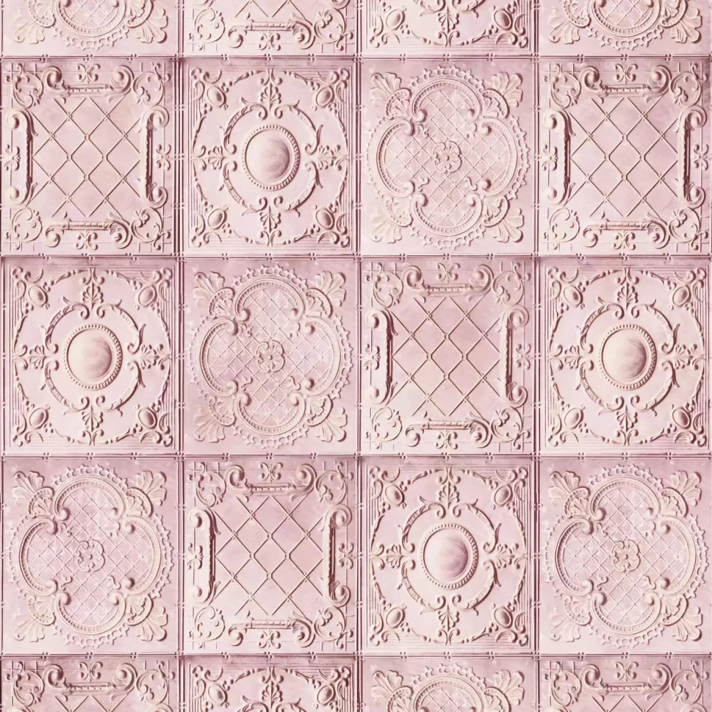 Sugar And Spice 8X8 Fleece ( 96 X Inch ) Backdrop