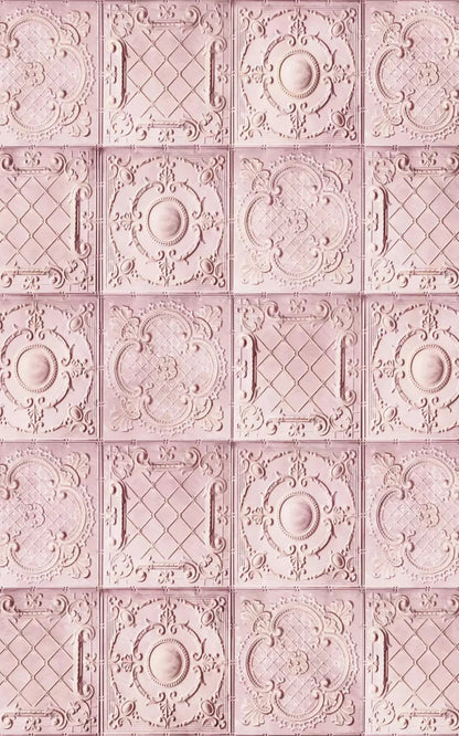 Sugar And Spice 9X14 Ultracloth ( 108 X 168 Inch ) Backdrop