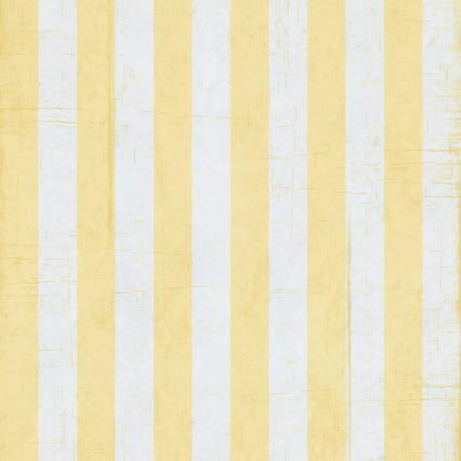 Sunday 10X10 Ultracloth ( 120 X Inch ) Backdrop