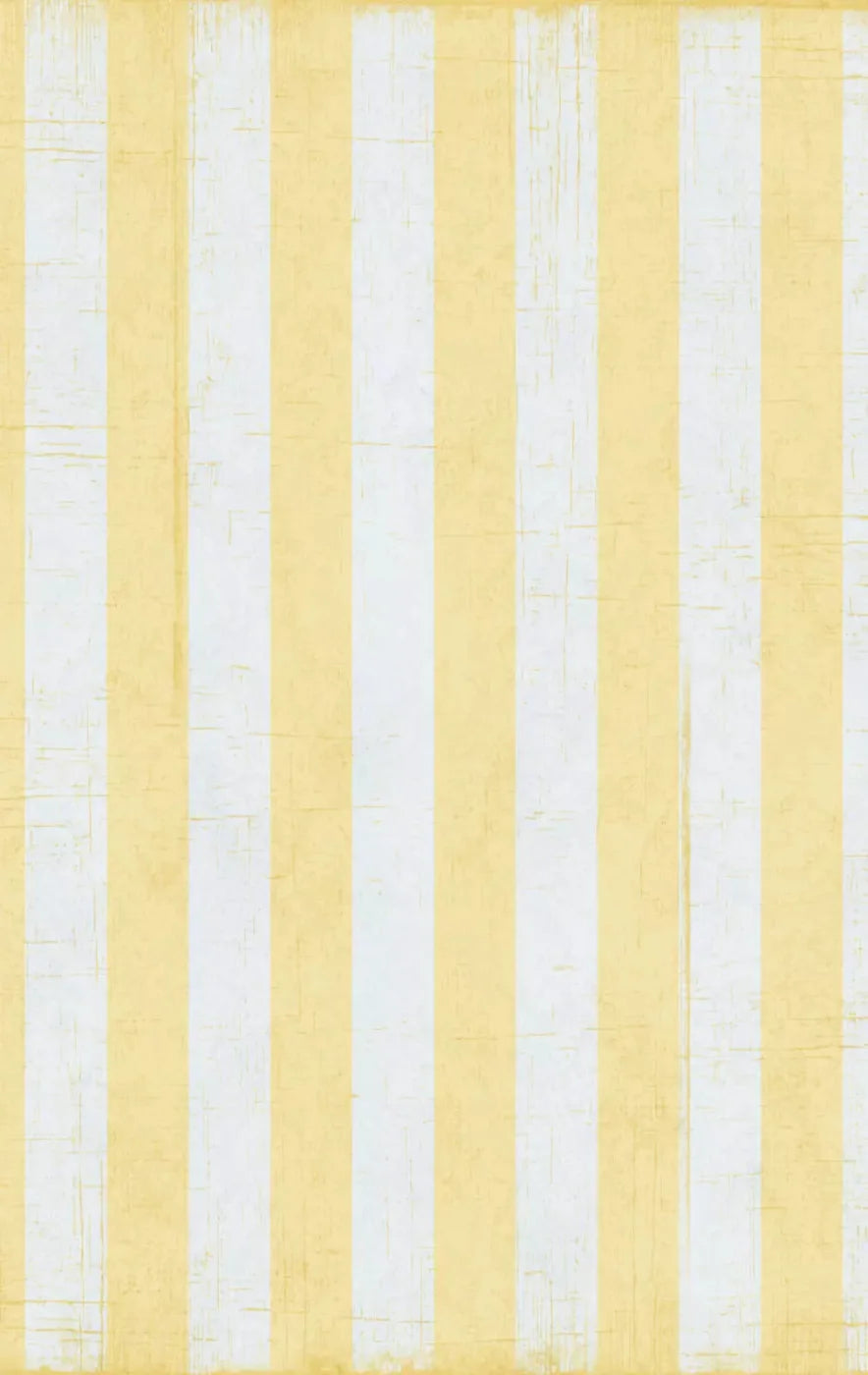 Sunday 10X16 Ultracloth ( 120 X 192 Inch ) Backdrop
