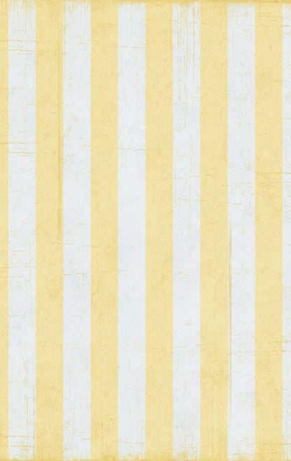 Sunday 10X16 Ultracloth ( 120 X 192 Inch ) Backdrop