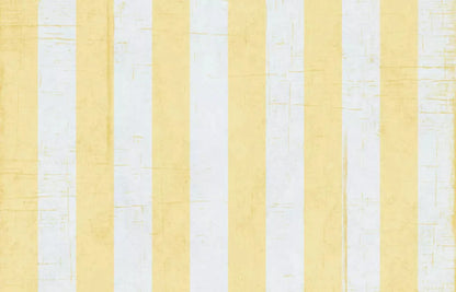 Sunday 12X8 Ultracloth ( 144 X 96 Inch ) Backdrop