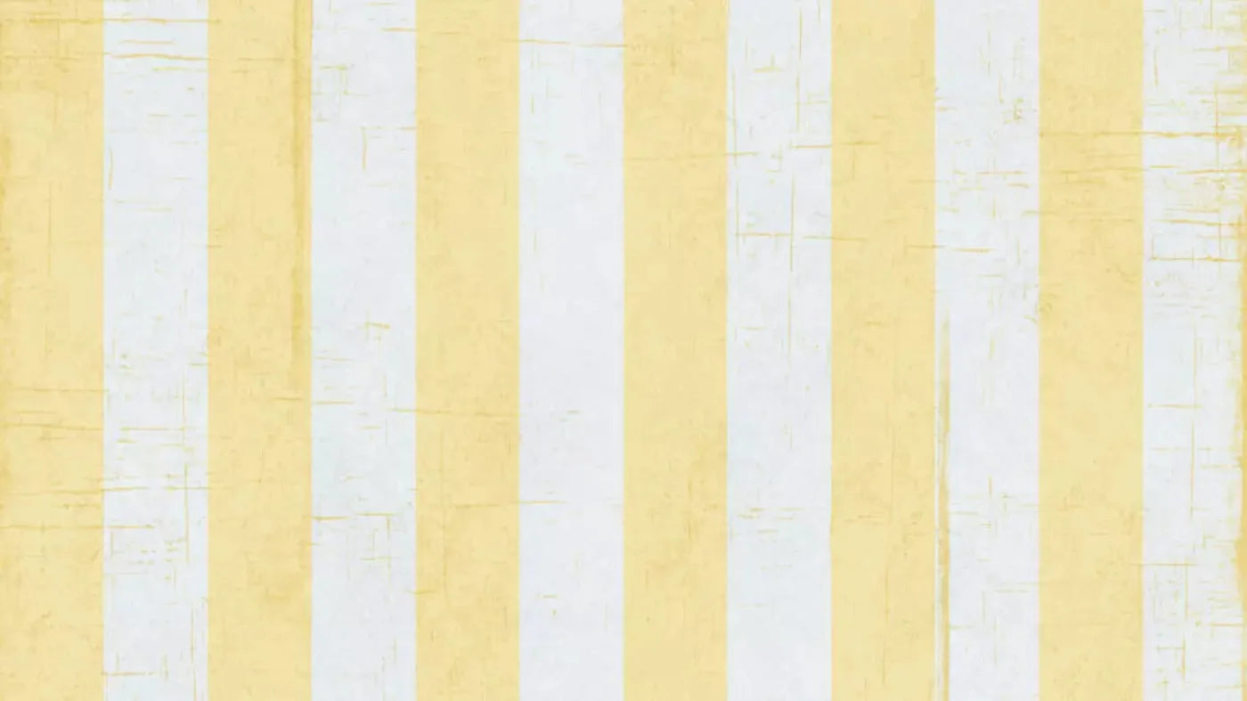Sunday 14X8 Ultracloth ( 168 X 96 Inch ) Backdrop