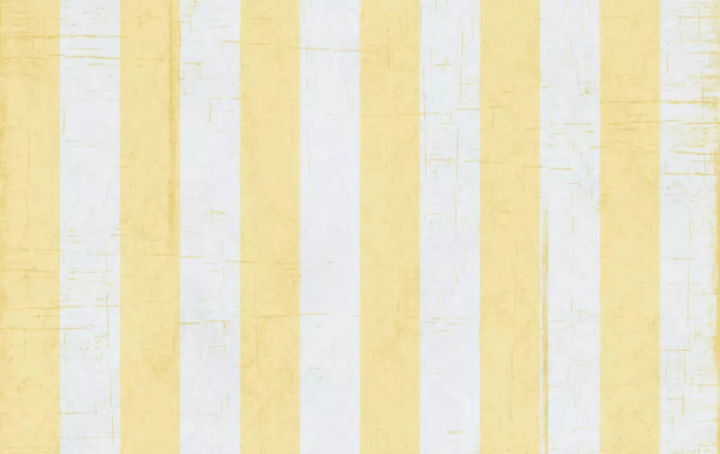 Sunday 16X10 Ultracloth ( 192 X 120 Inch ) Backdrop
