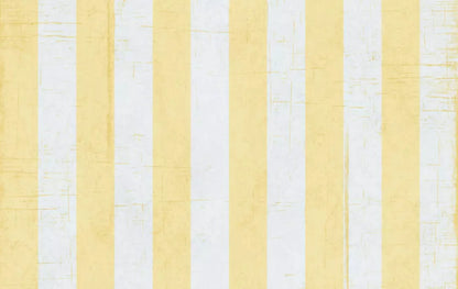Sunday 16X10 Ultracloth ( 192 X 120 Inch ) Backdrop