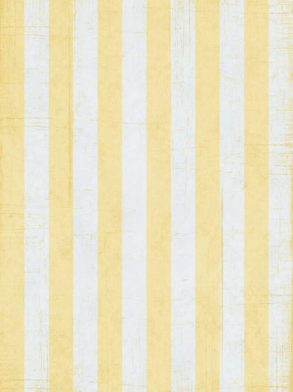 Sunday 5X7 Ultracloth ( 60 X 84 Inch ) Backdrop