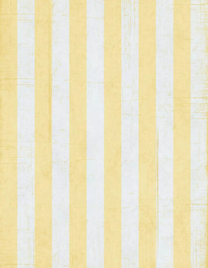 Sunday 6X8 Fleece ( 72 X 96 Inch ) Backdrop