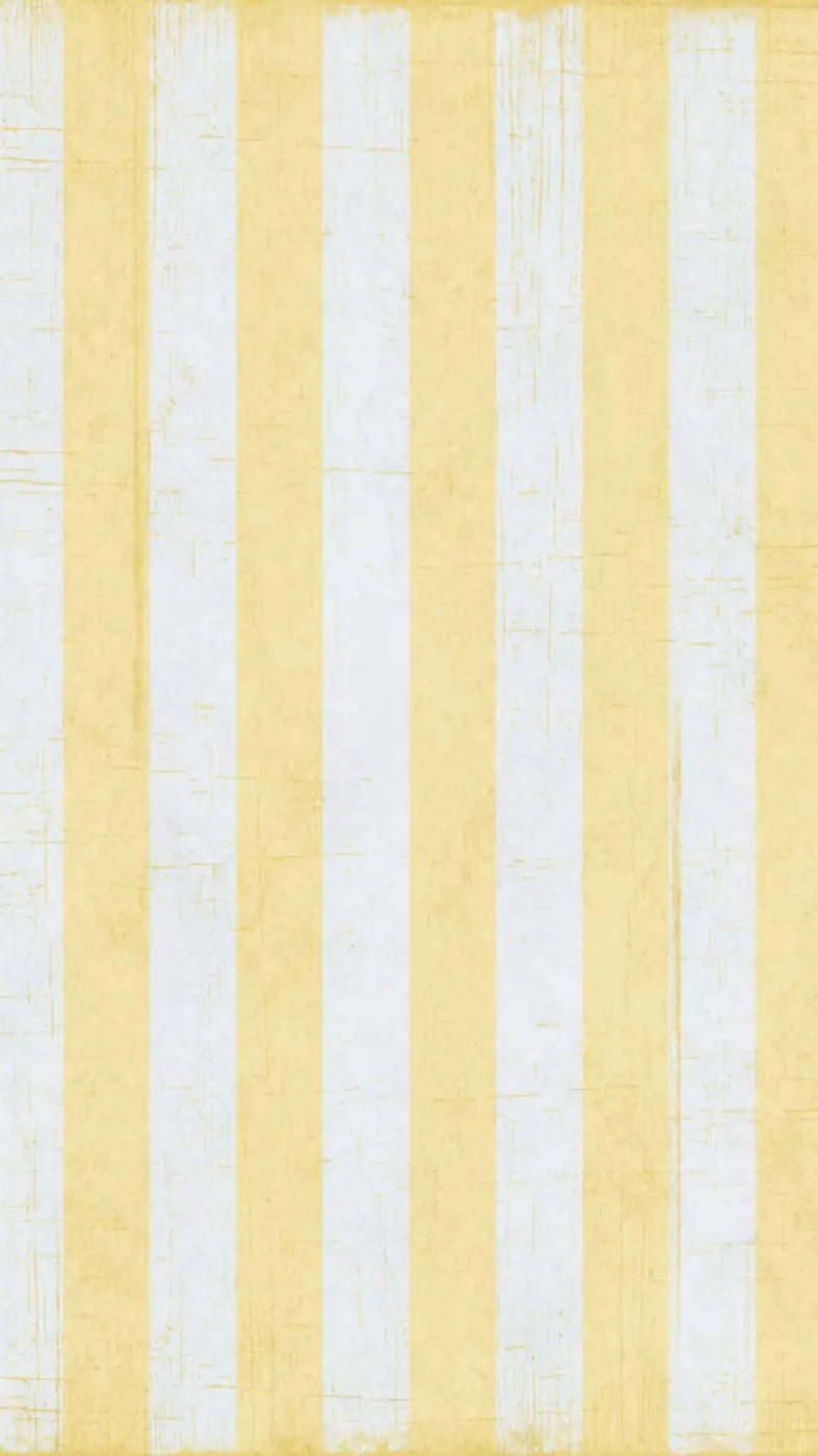 Sunday 8X14 Ultracloth ( 96 X 168 Inch ) Backdrop
