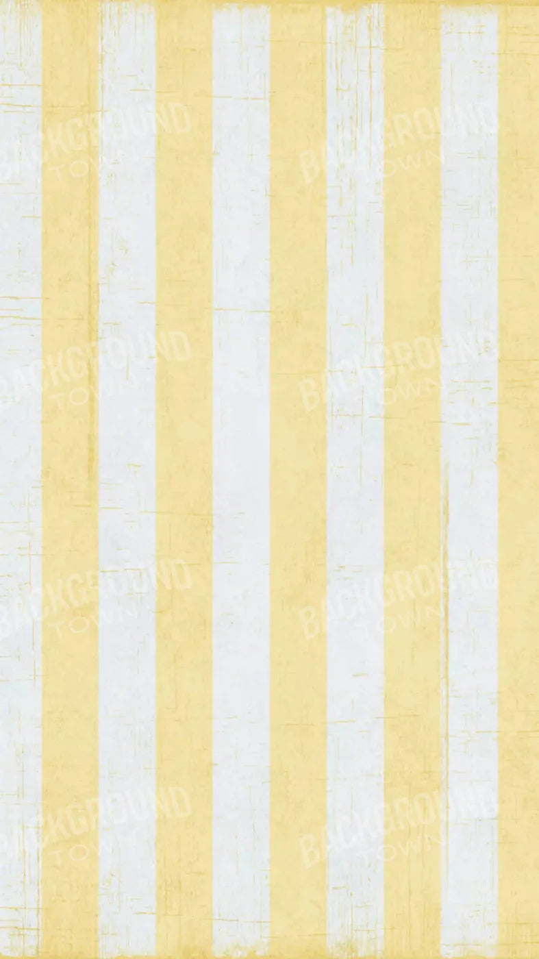 Sunday 8X14 Ultracloth ( 96 X 168 Inch ) Backdrop