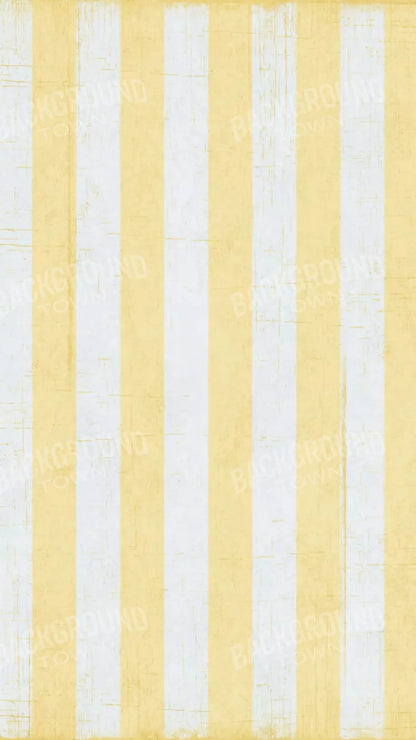 Sunday 8X14 Ultracloth ( 96 X 168 Inch ) Backdrop