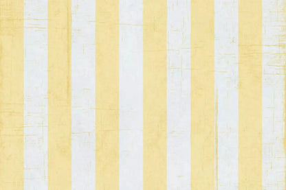 Sunday 8X5 Ultracloth ( 96 X 60 Inch ) Backdrop