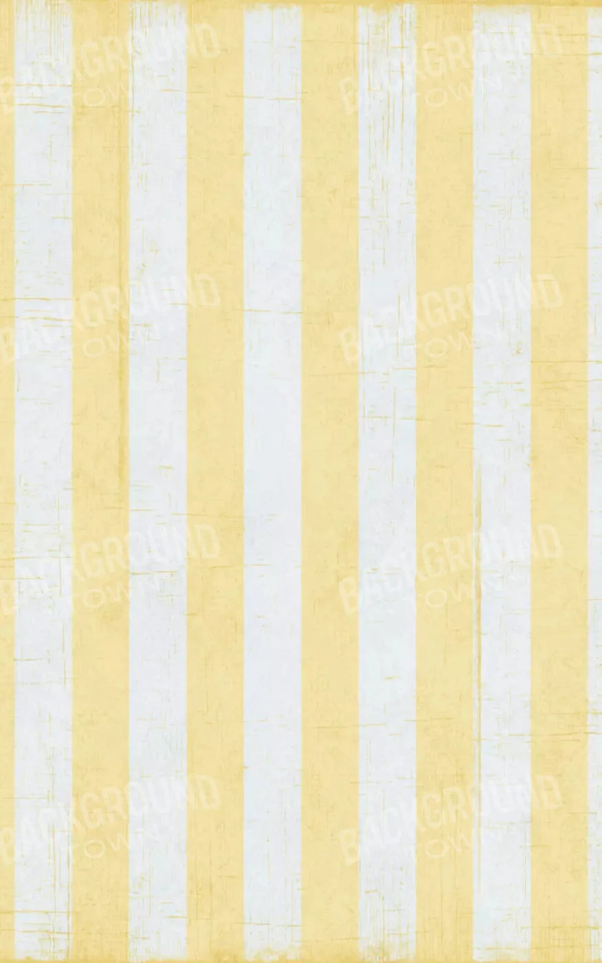 Sunday 9X14 Ultracloth ( 108 X 168 Inch ) Backdrop