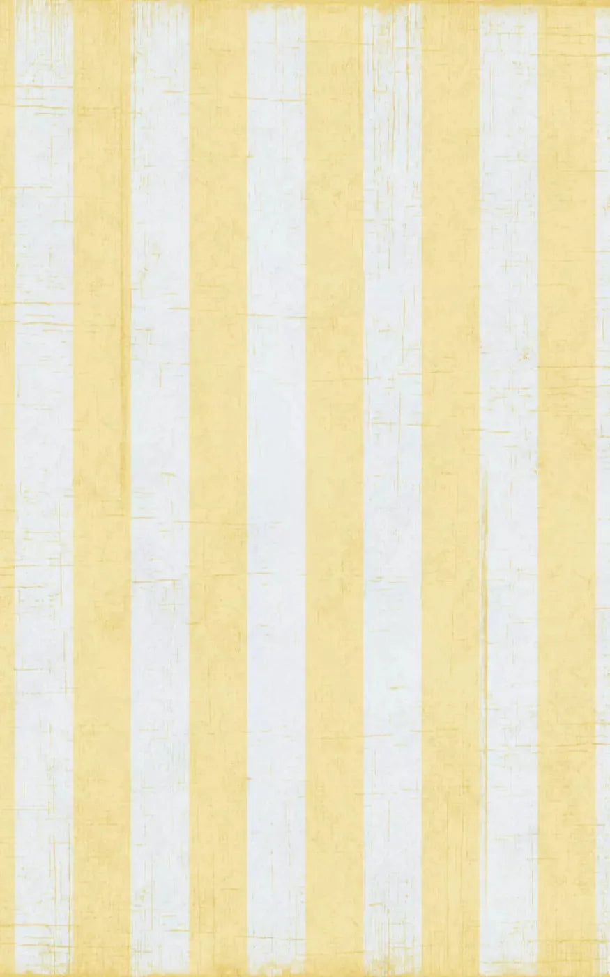 Sunday 9X14 Ultracloth ( 108 X 168 Inch ) Backdrop