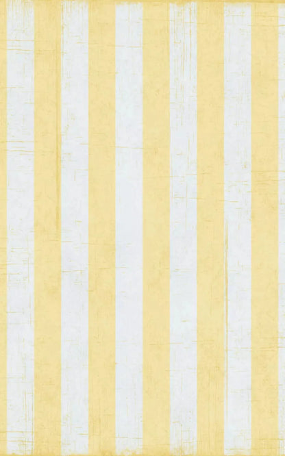 Sunday 9X14 Ultracloth ( 108 X 168 Inch ) Backdrop