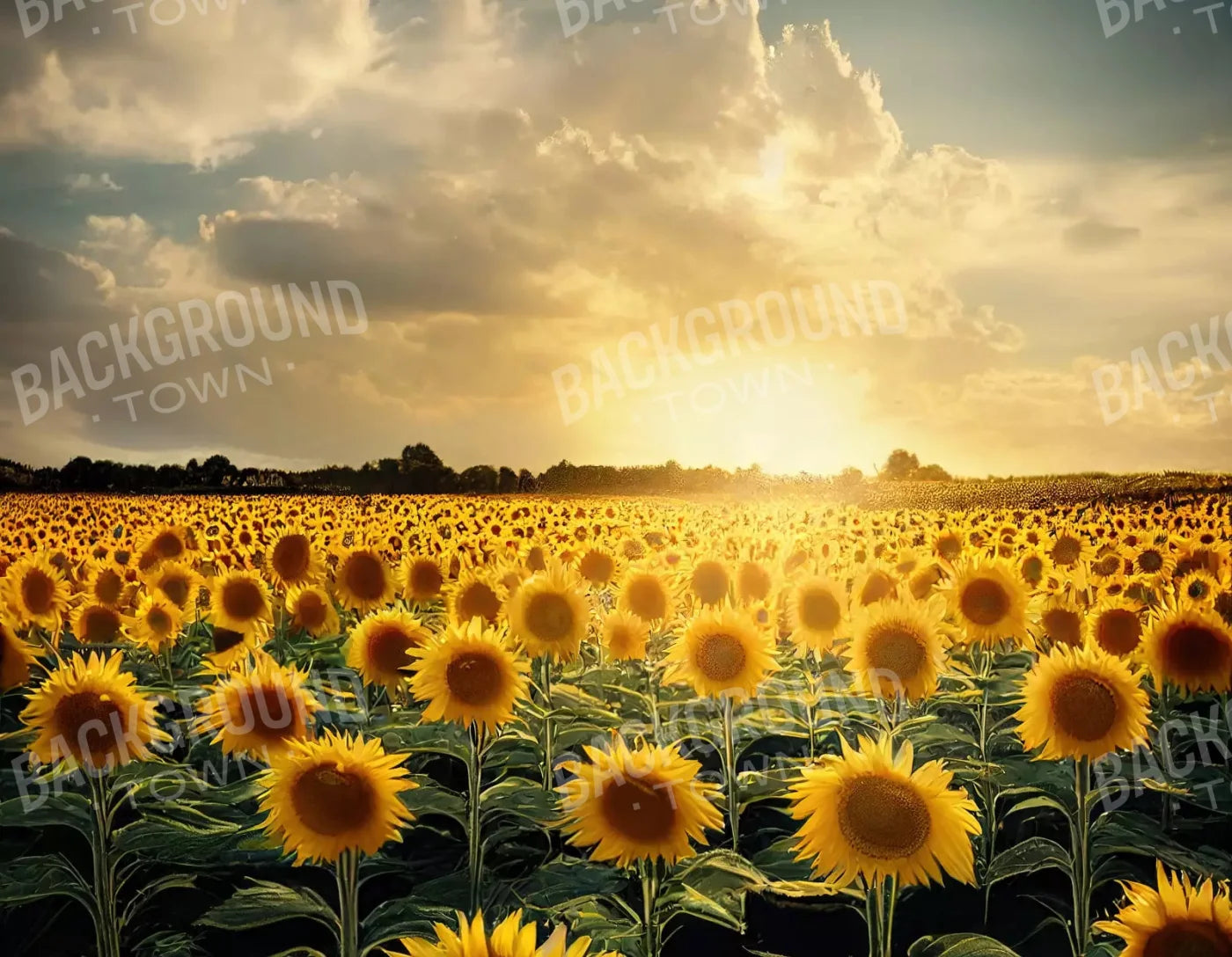 Sunflower Field 8X6 Fleece ( 96 X 72 Inch ) Backdrop