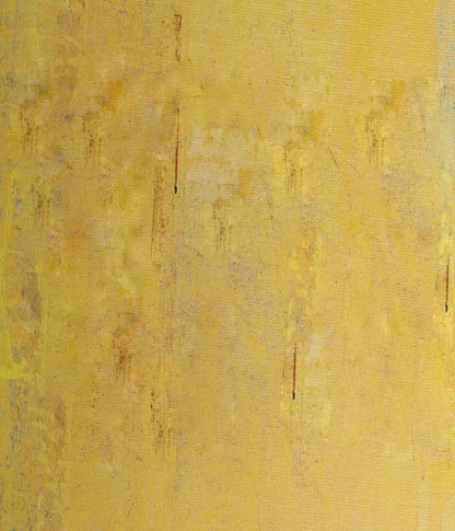 Sunny 10X12 Ultracloth ( 120 X 144 Inch ) Backdrop