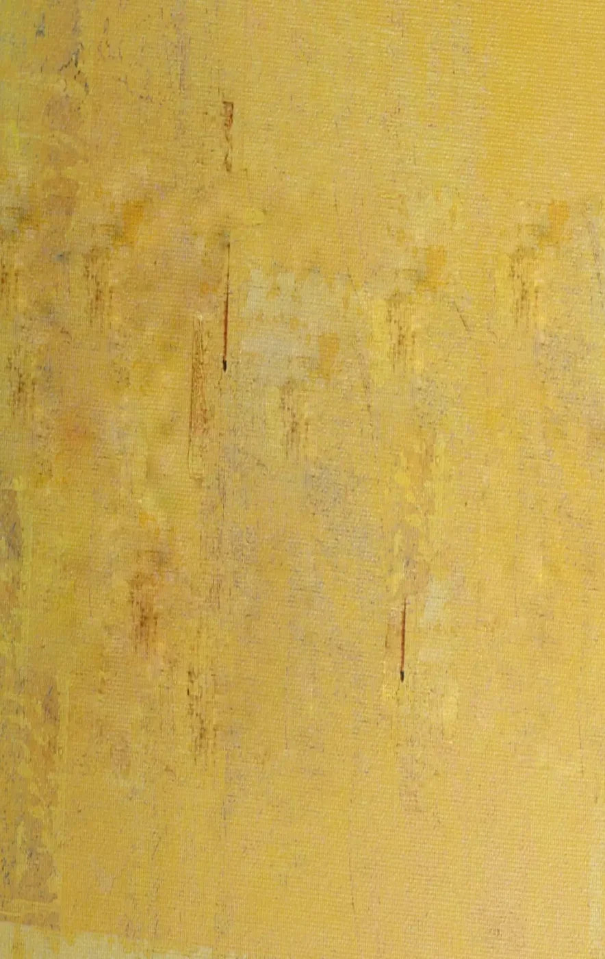 Sunny 10X16 Ultracloth ( 120 X 192 Inch ) Backdrop