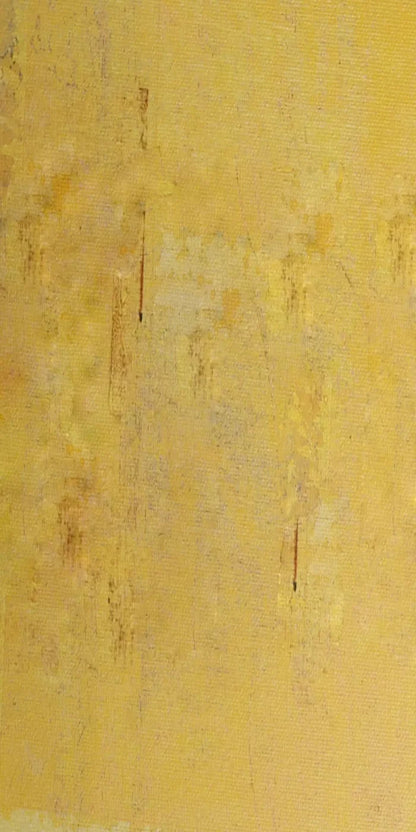 Sunny 10X20 Ultracloth ( 120 X 240 Inch ) Backdrop