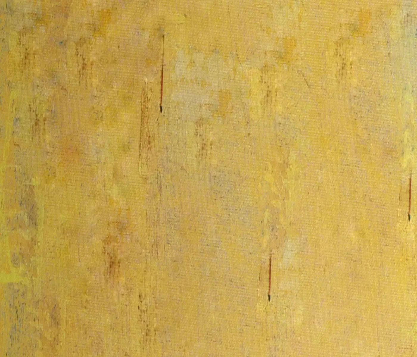 Sunny 12X10 Ultracloth ( 144 X 120 Inch ) Backdrop
