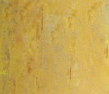 Sunny 12X10 Ultracloth ( 144 X 120 Inch ) Backdrop