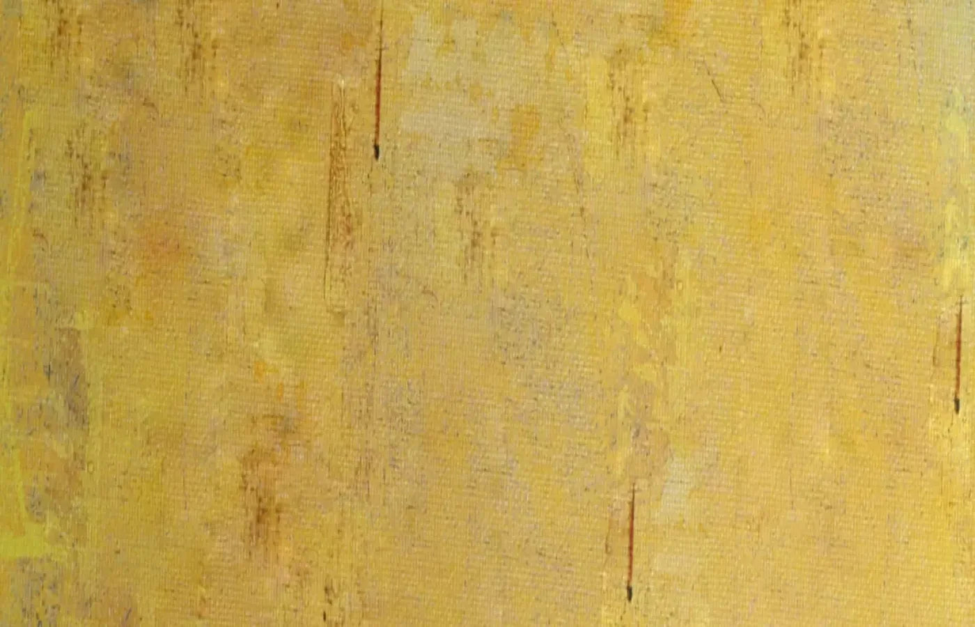 Sunny 12X8 Ultracloth ( 144 X 96 Inch ) Backdrop