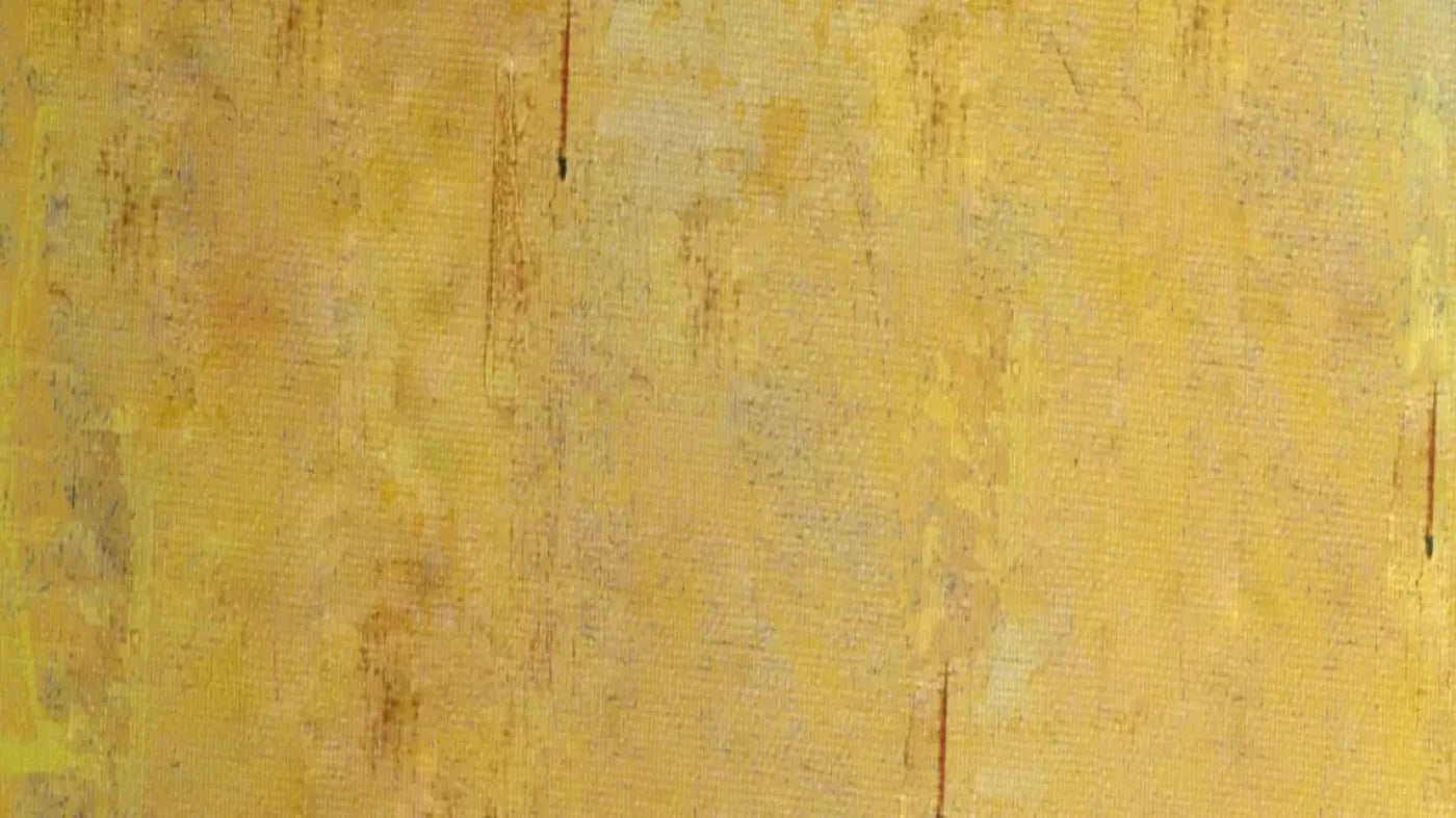 Sunny 14X8 Ultracloth ( 168 X 96 Inch ) Backdrop