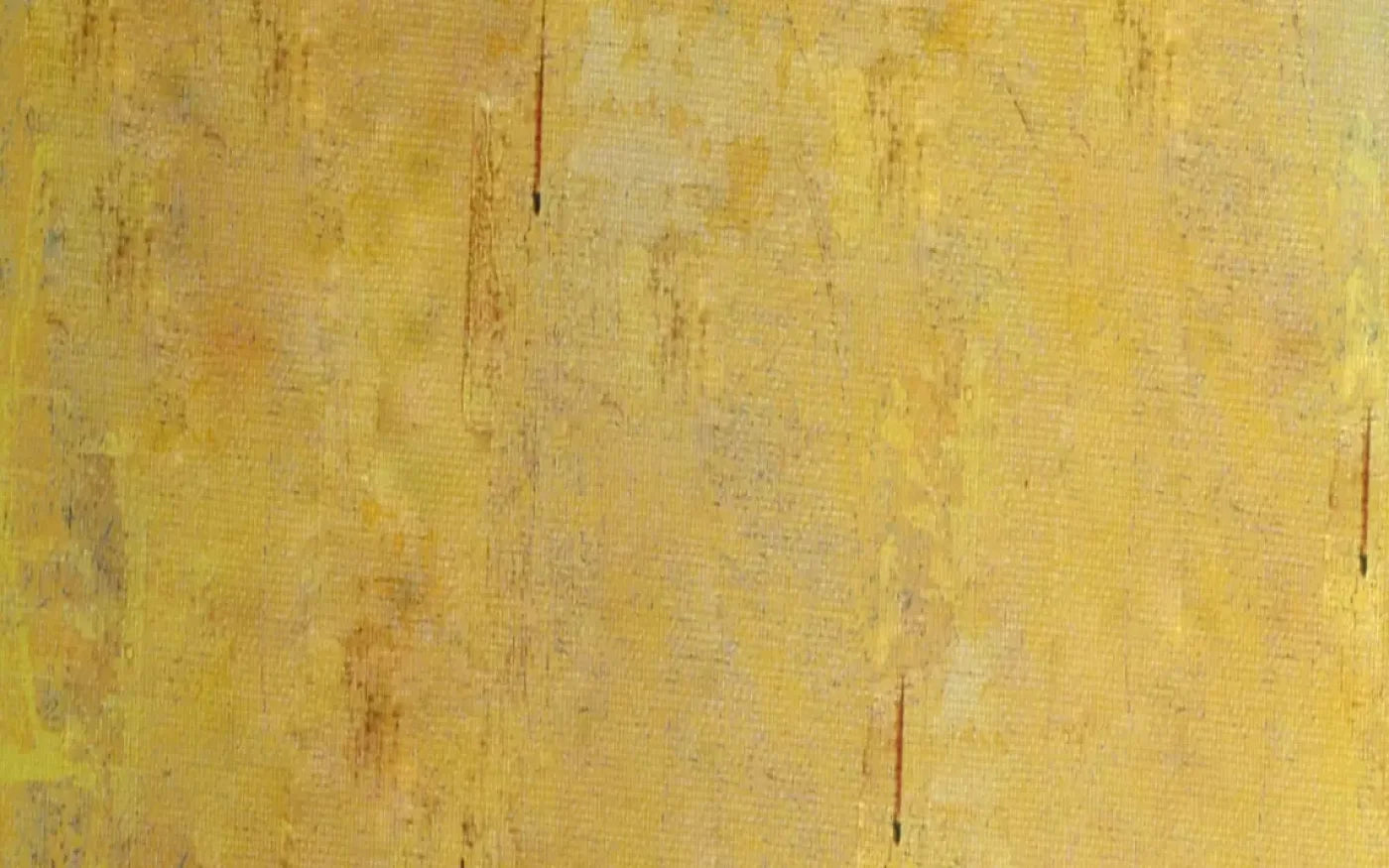 Sunny 14X9 Ultracloth ( 168 X 108 Inch ) Backdrop