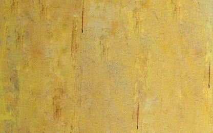Sunny 14X9 Ultracloth ( 168 X 108 Inch ) Backdrop