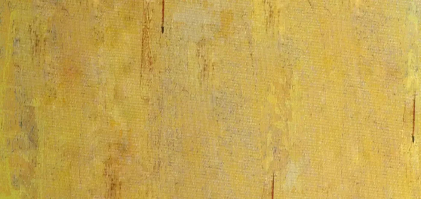 Sunny 16X8 Ultracloth ( 192 X 96 Inch ) Backdrop