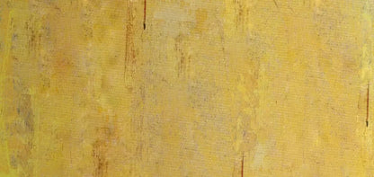 Sunny 16X8 Ultracloth ( 192 X 96 Inch ) Backdrop