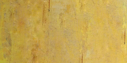 Sunny 20X10 Ultracloth ( 240 X 120 Inch ) Backdrop