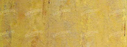 Sunny 20X8 Ultracloth ( 240 X 96 Inch ) Backdrop