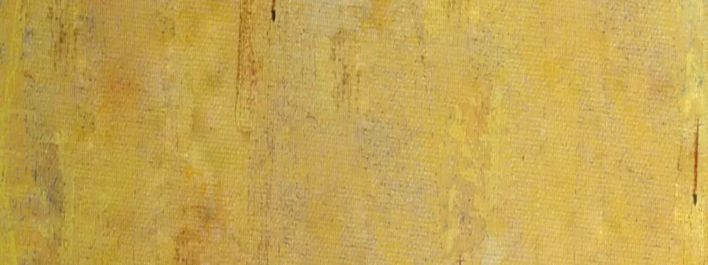 Sunny 20X8 Ultracloth ( 240 X 96 Inch ) Backdrop